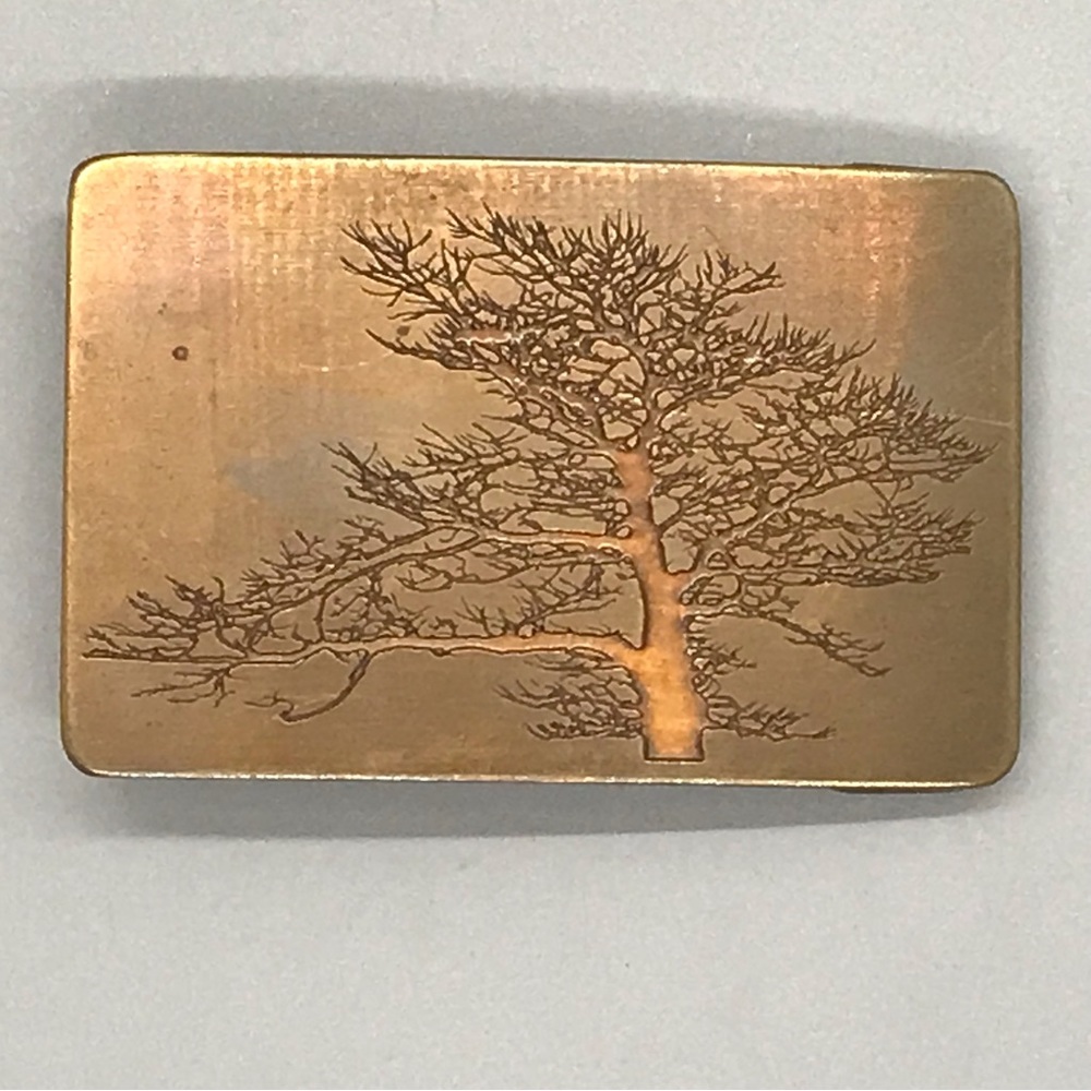 Vintage Ampersand, Kalamazoo, Michigan Brass belt buckle of a noble tree.